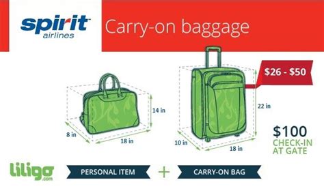 spirit suitcase policy